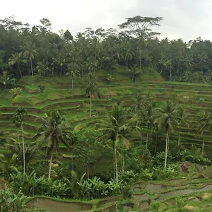 Pangkung House , Ubud (Bali) Indonesia